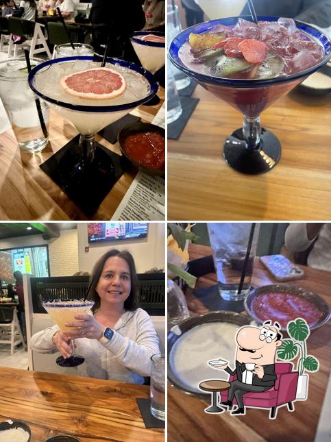 Ollin Cocina & Tequila