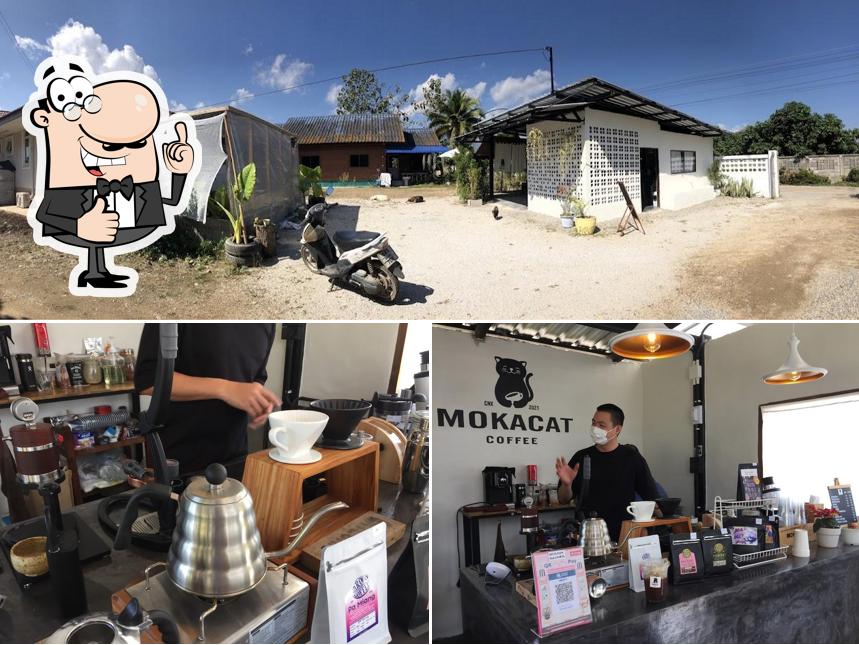 MOKACAT COFFEE