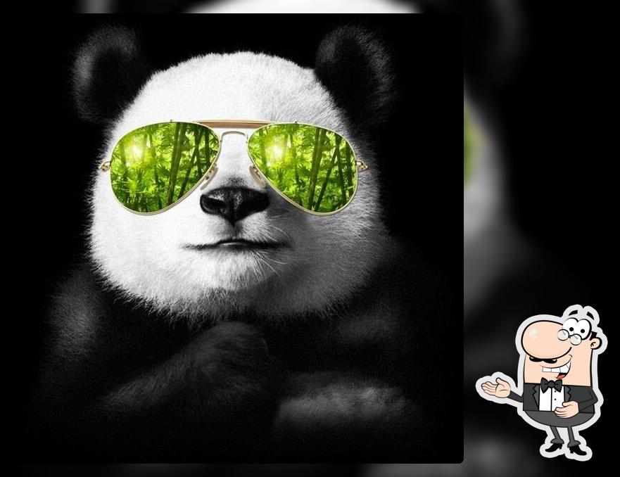 Cool Panda Bamboo