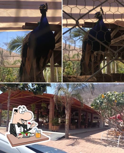 R.Villa Paraíso, Restaurante Buffet