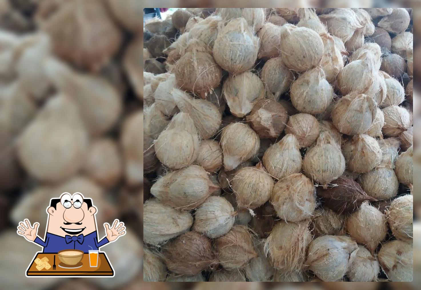 ซื้อ ขาย ส่งมะพร้าวทั่วไทย