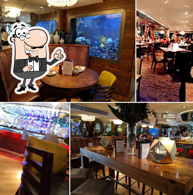 Scotts Bar & Restaurant