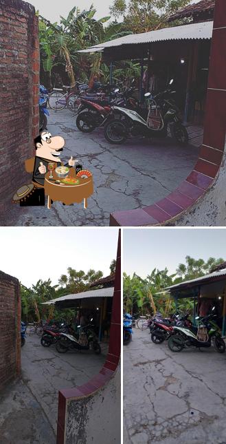 Sega casem