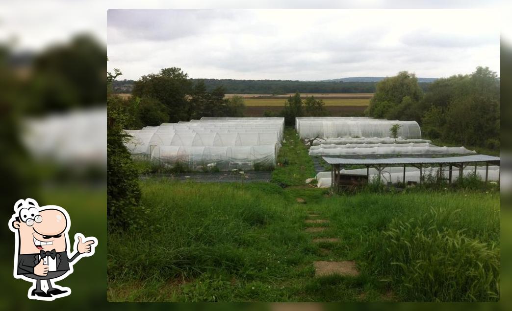 La ferme Yamashita