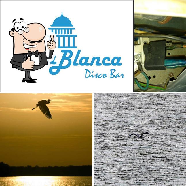 Casa Blanca Disco Bar