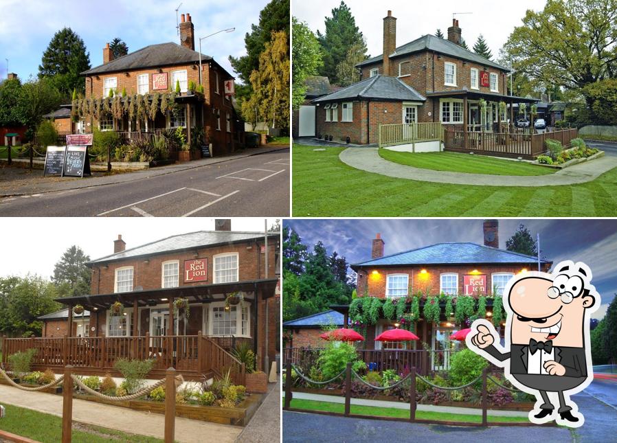 The Lion Of Beaconsfield