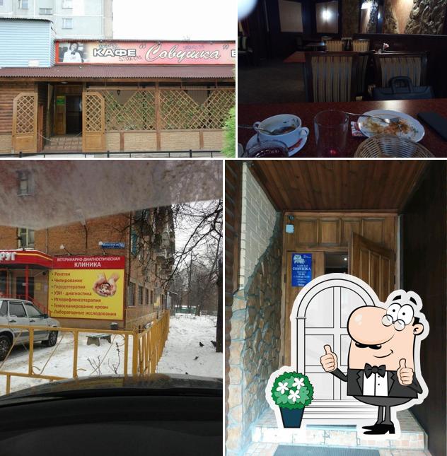 Совушка