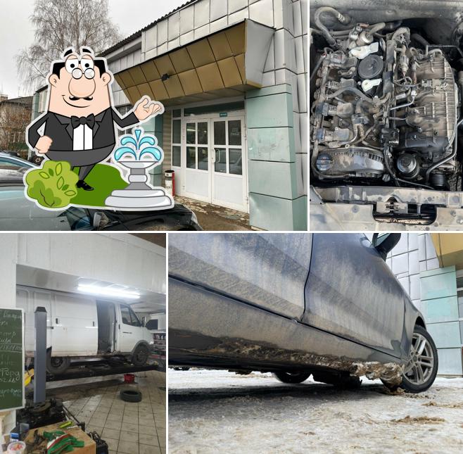 Ласточка