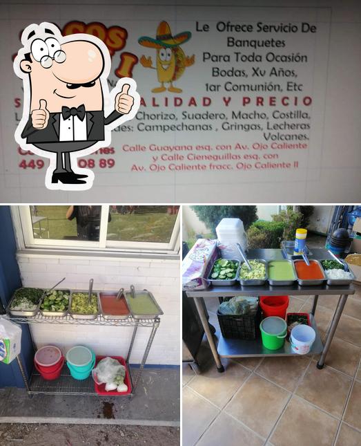 Tacos Dany