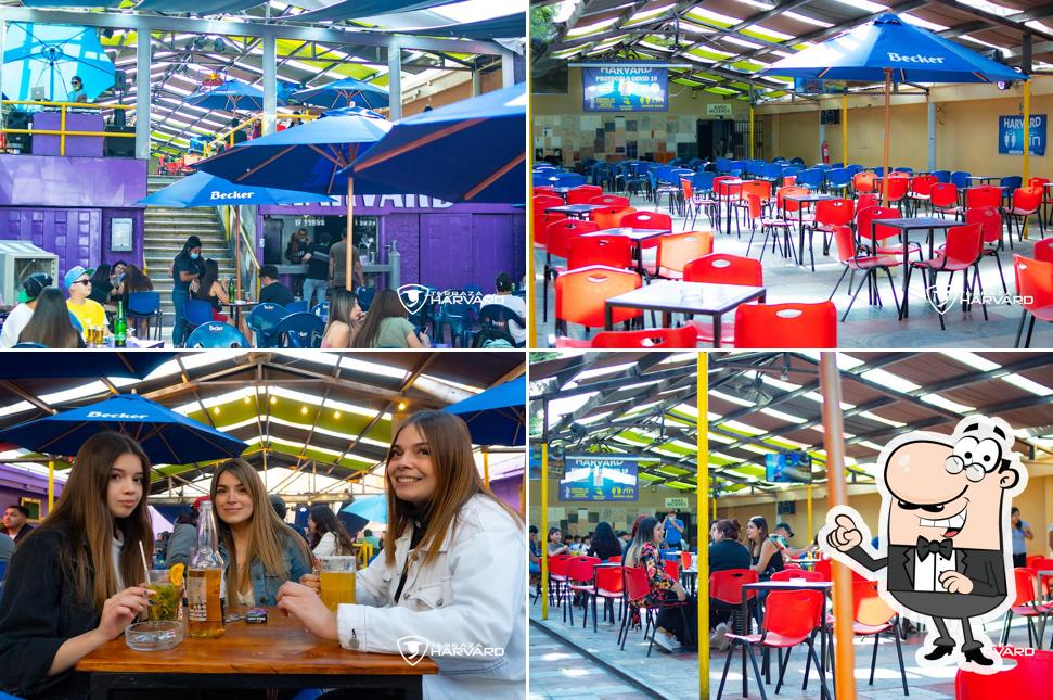 Terraza Harvard
