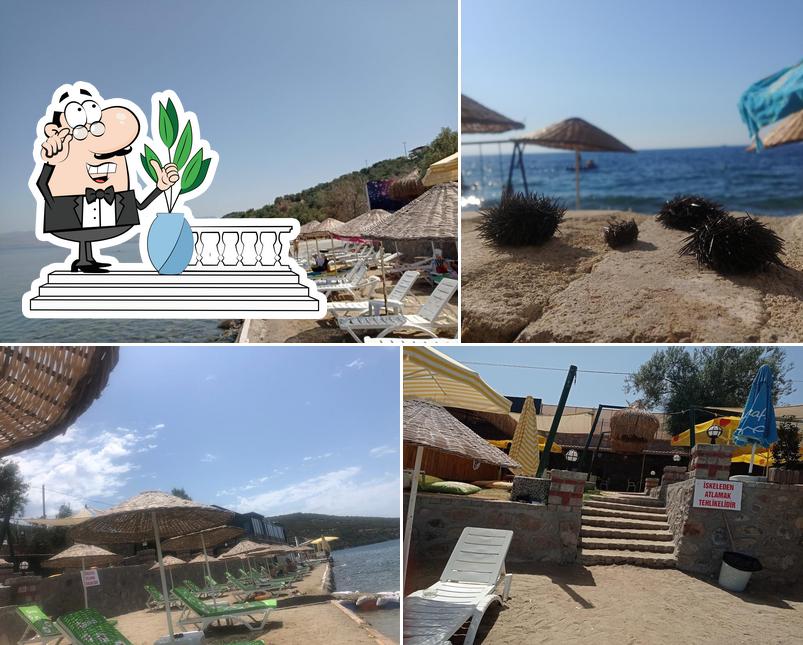 AKVARYUM RESTORANT CAFE BEACH CLUP