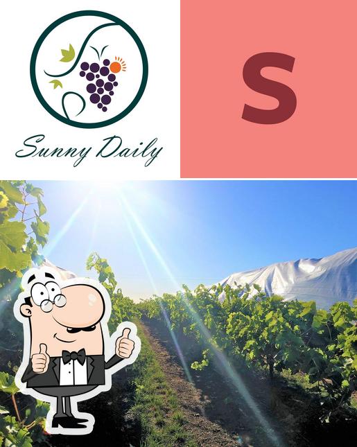 Sunnydaily