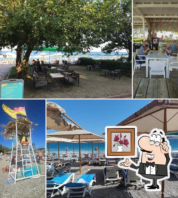 Beach Bar