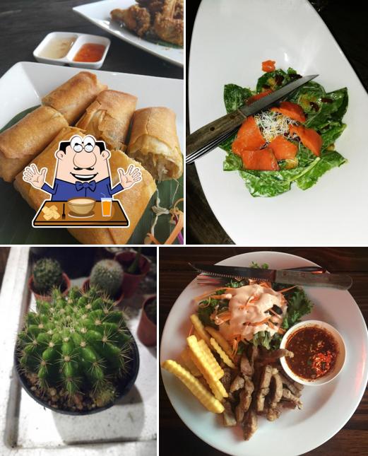 Salad Restaurant