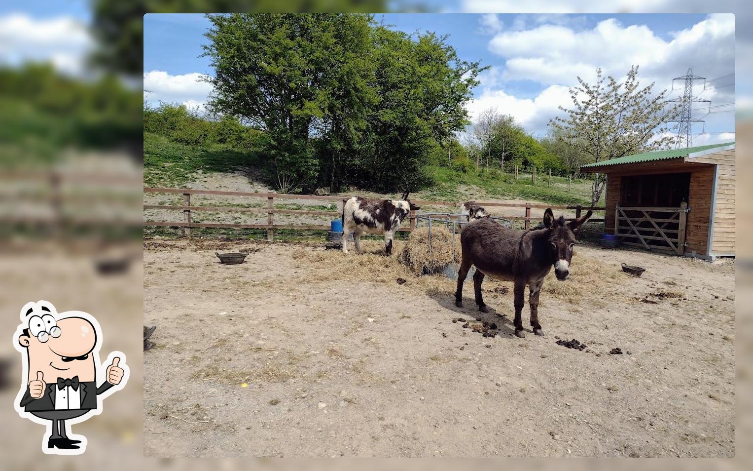 Mapplewell Meadows Farm