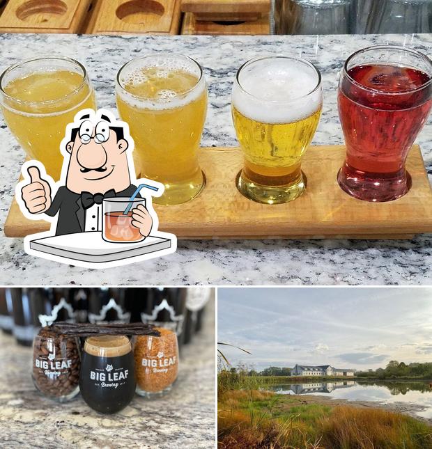 Big Leaf Brewing