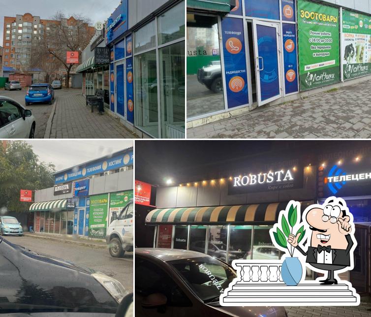 Робуста