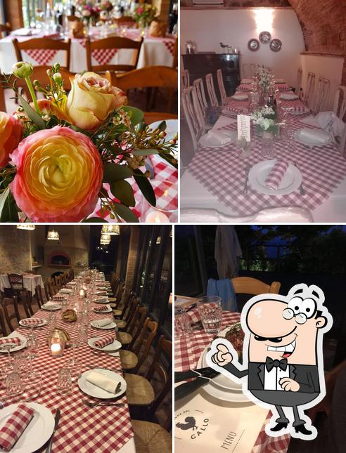 Locanda del Gallo