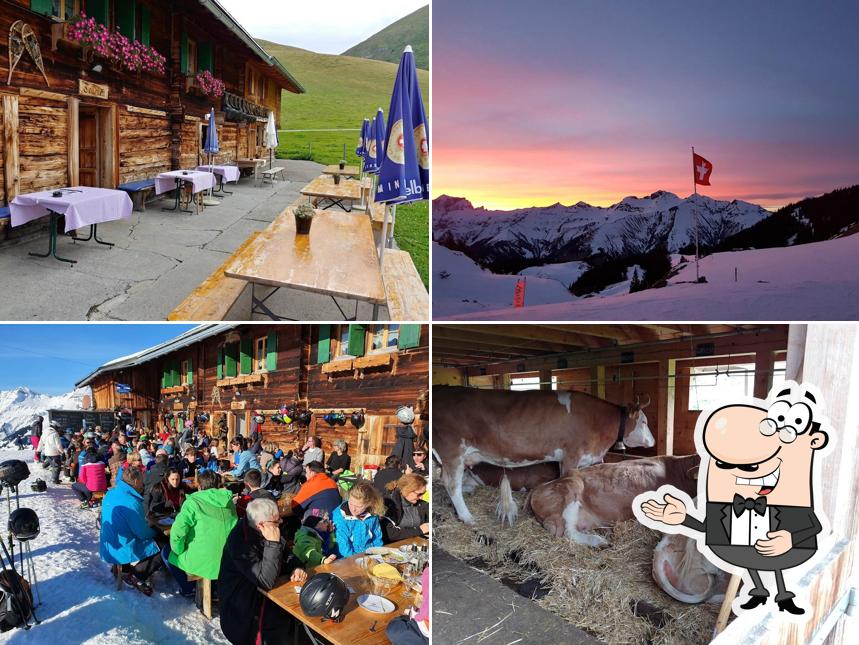 Elsighütte