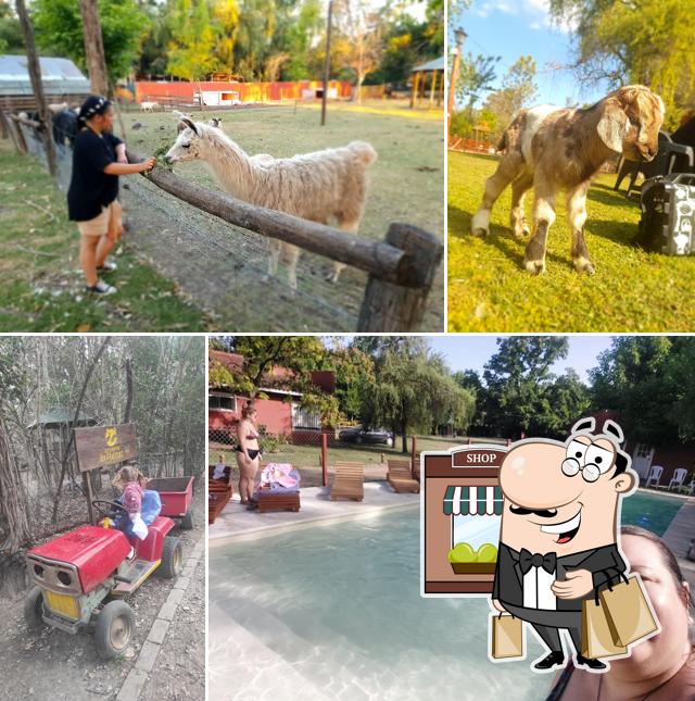 Park Farm "La Pureza"