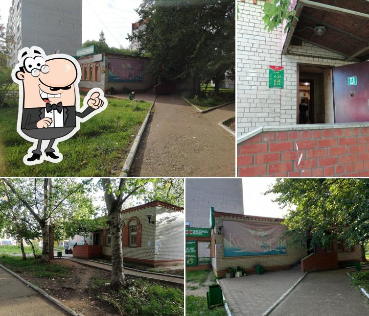 Колибри