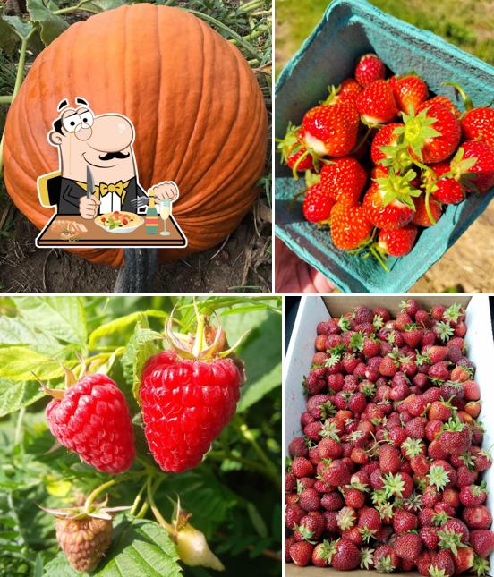 Lanni Orchards Inc.