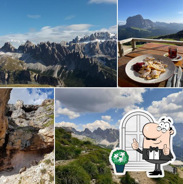 Stevia Hütte