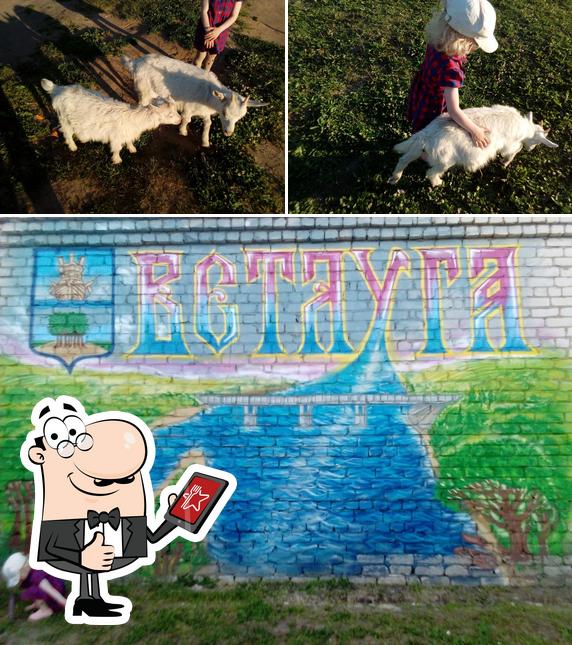 Ветлугахлеб, Тф, ОАО