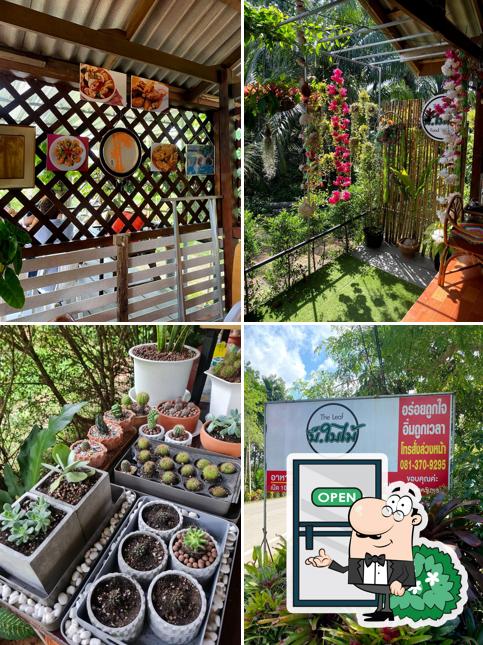 ร้าน บ.ใบไม้ Food&Drink
