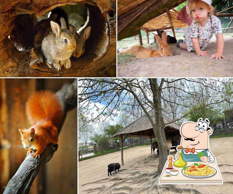 Zájezd Zoo