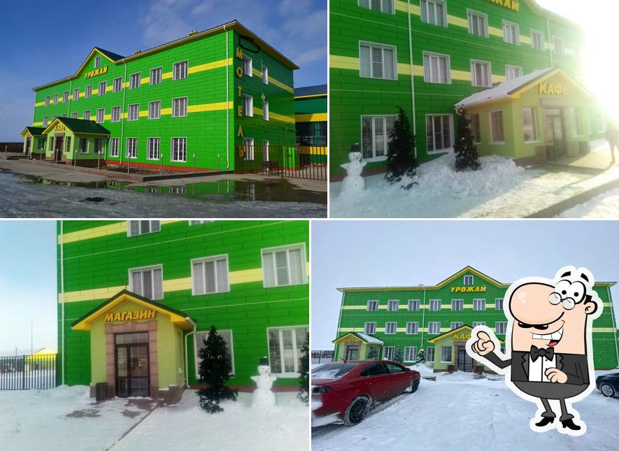 Урожай