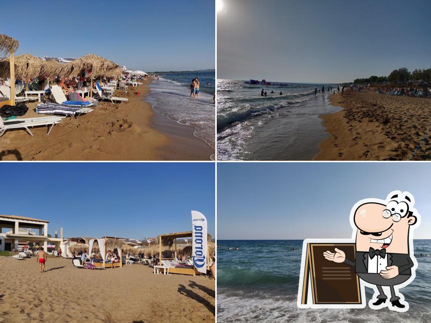 Mple Beach Bar