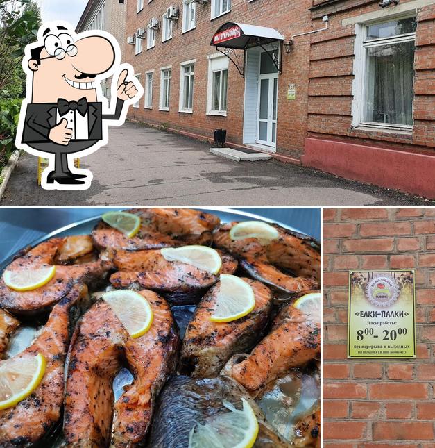 Елки Палки