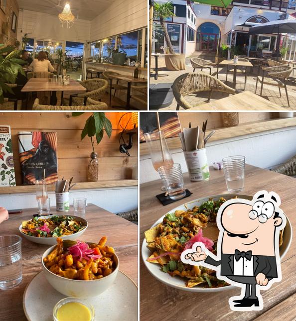 Monkey Mood - Capbreton