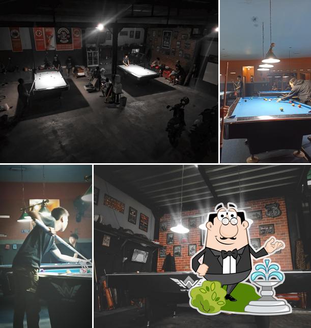 Barracuda Pool
