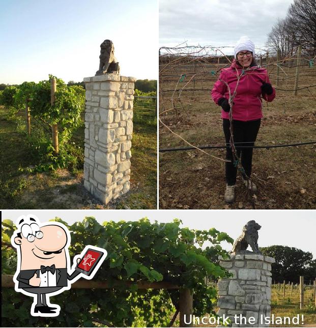 Lyons Isle Vineyards, LLC