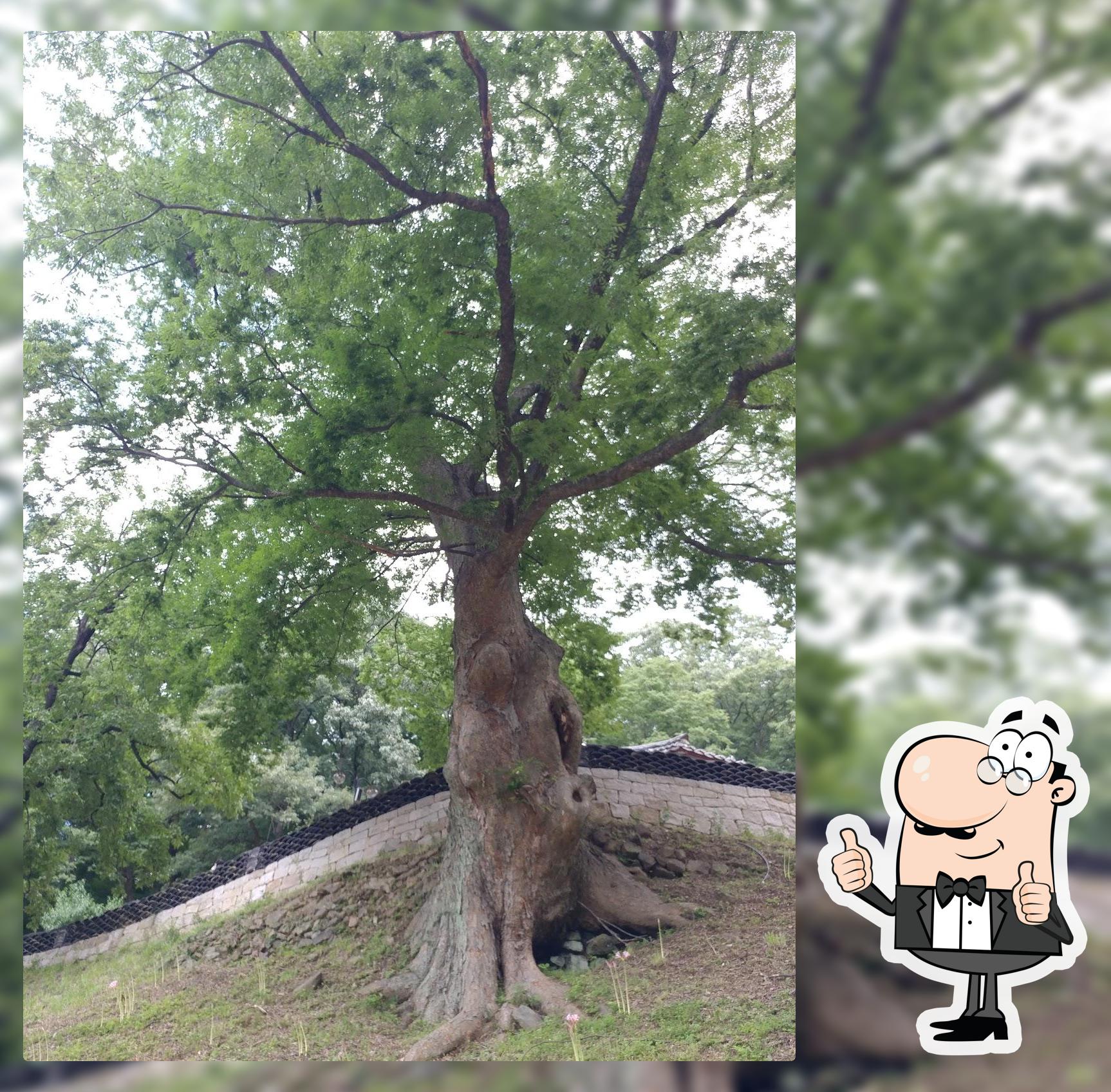 칠갑산하