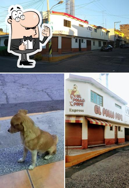 Pollo Pepe