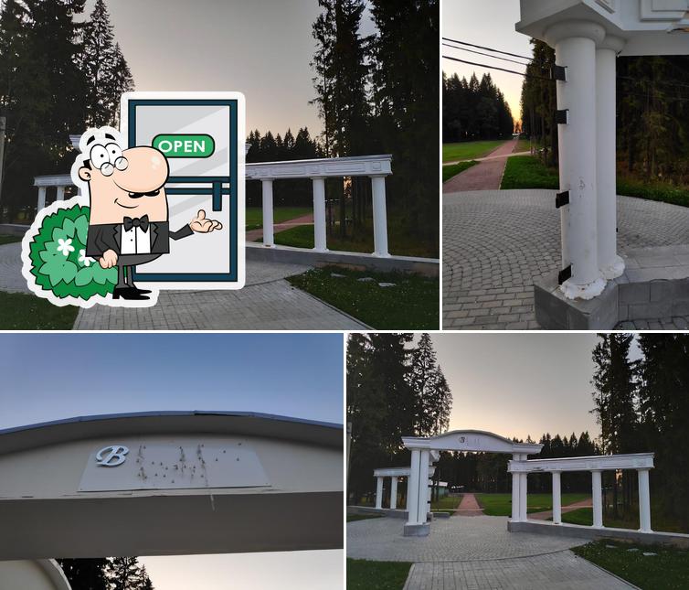 Вингиссара 63