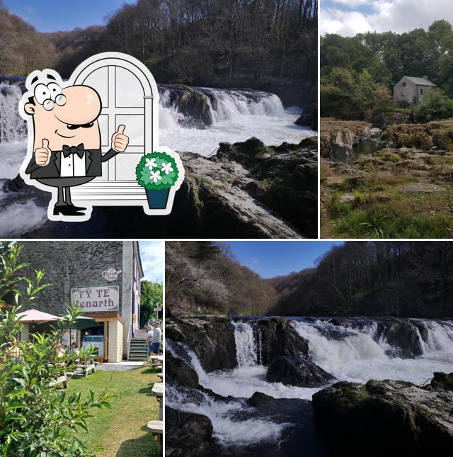 Tŷ Te Cenarth