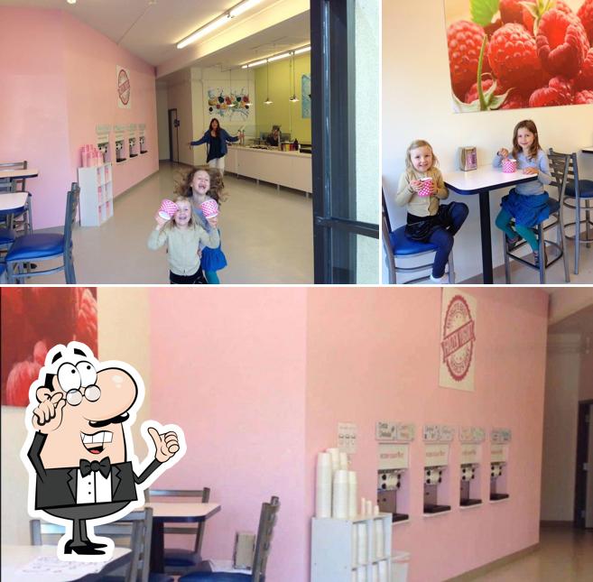 Frozen Yogurt