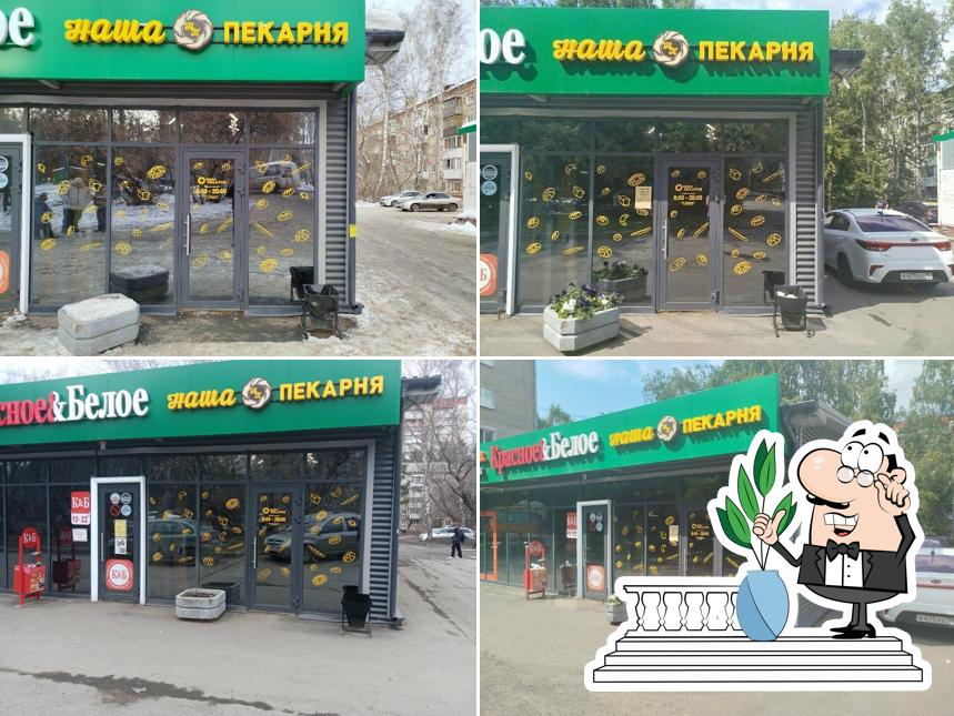 Наша Пекарня