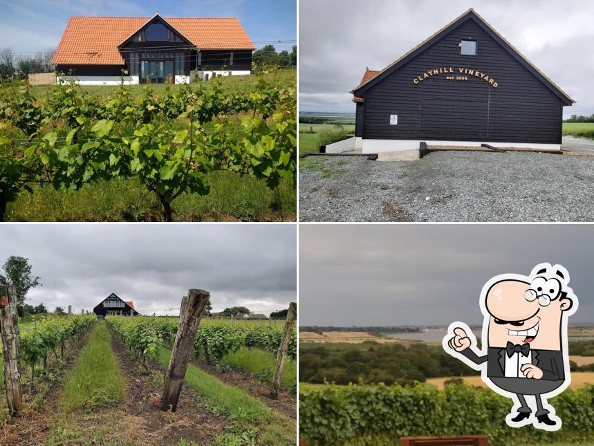Clayhill Vineyard