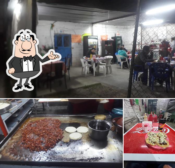 Taquería “DISCO TACO”