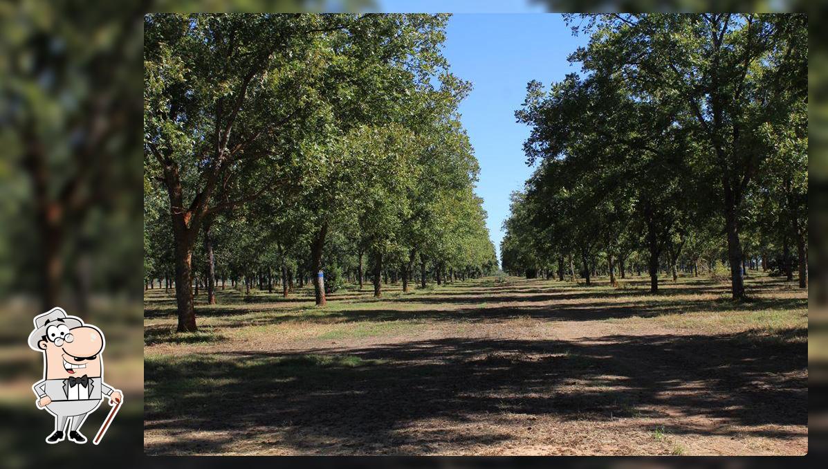 Quality Pecans LLC