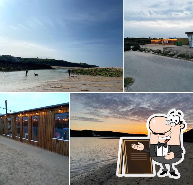 Lula Shack