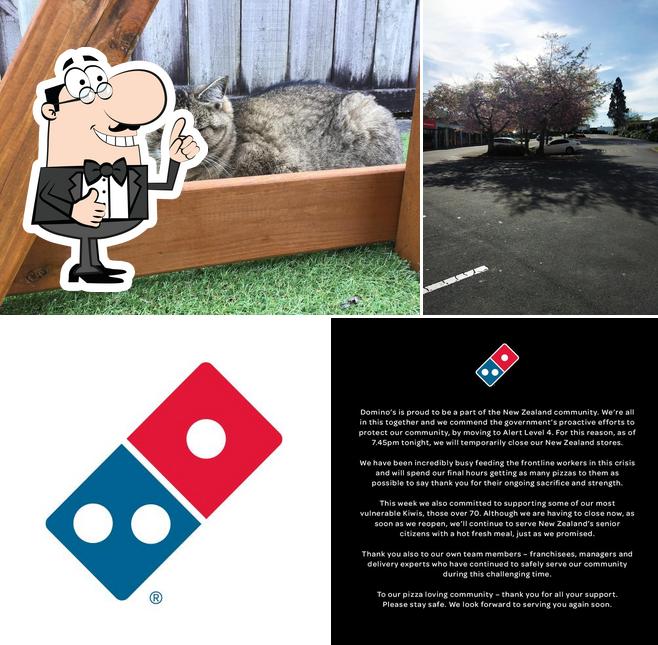 Domino's Pizza Te Awamutu