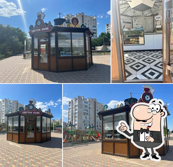 Цветок кофе