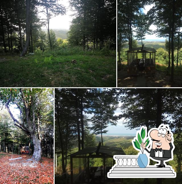 Kızılcık tepe orman park
