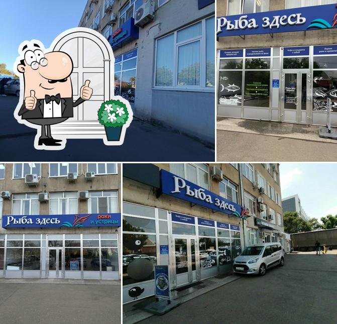 Рыба здесь
